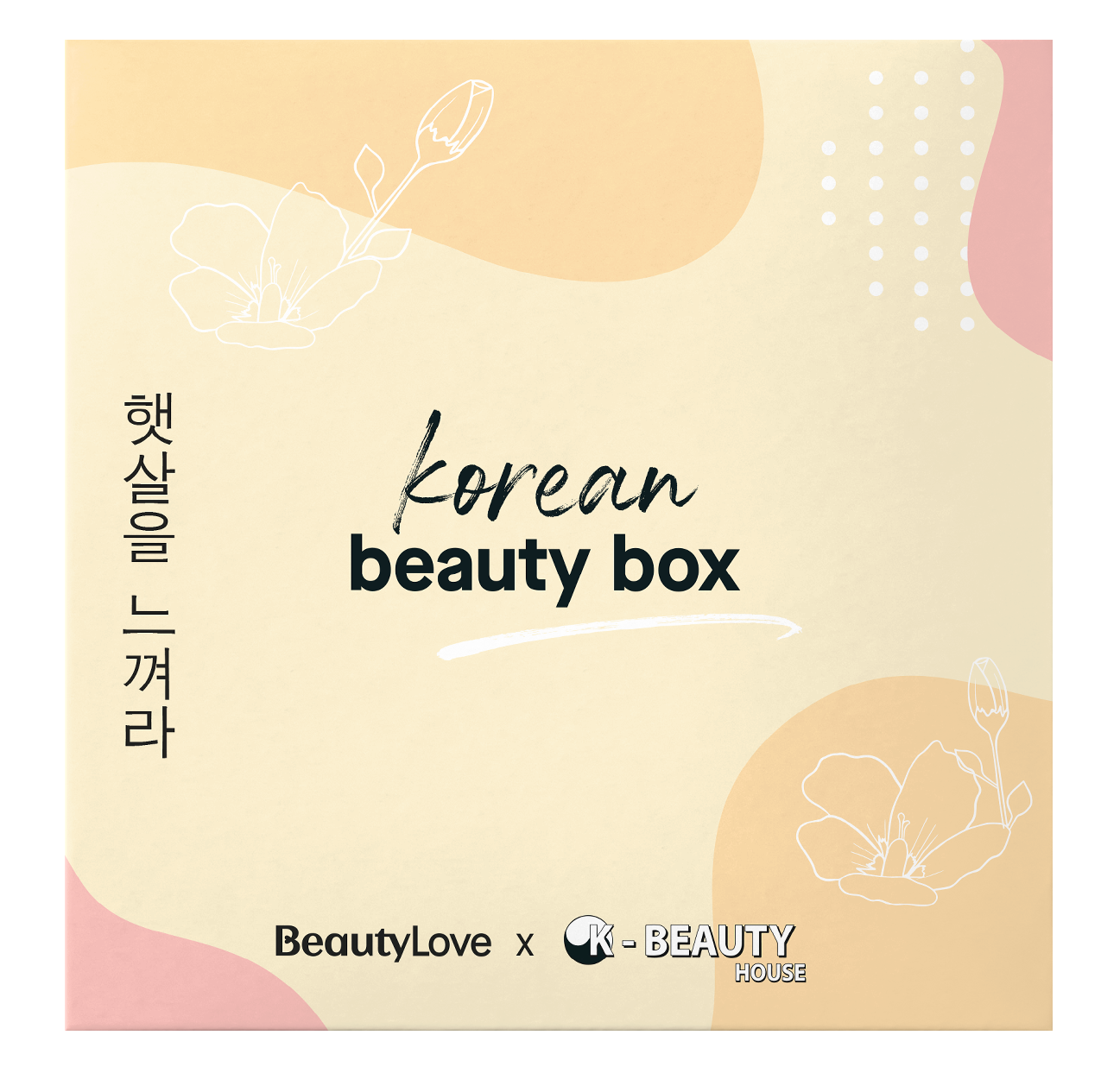 BeautyLove x K-Beauty House Box